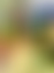 My usual visit to farmer's market 2023