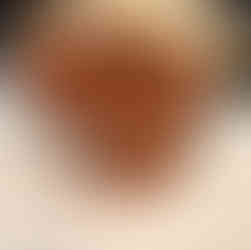 pecans are pouring from a pan into a baking sheet