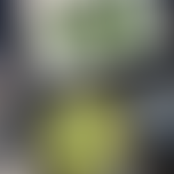 lima beans cooking in a pot with one bay leaf and plate with bay leaves