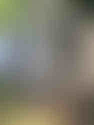 Two small boys helping build the frame of a chicken coop