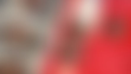 Johnny's Favorite Cookies. Cacao Fudge with Macadamia Nuts (VIDEO)