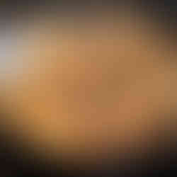 cooked dumplings on a frying pan