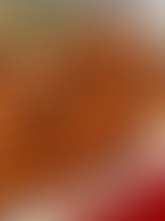 Authentic Boston-Style Baked Beans – A Classic Recipe with Rich Flavors (VIDEO)