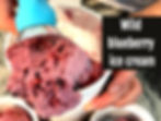 blueberry ice cream