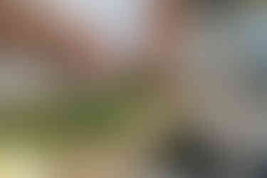 chopping herbs chef knife