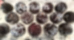 fruit called apriums