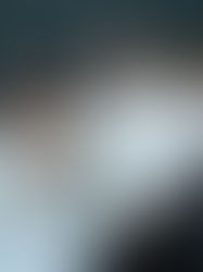 Fifteen Years of Love (VIDEO)