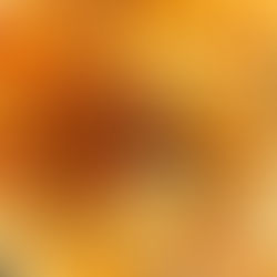 uncooked rice and persimmon mixture