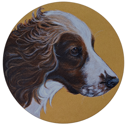 peinture animaliere d'un epagneul breton à la peinture acrylique sur fond doré