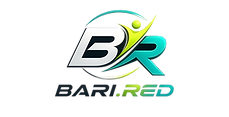 bari.red imagen visual
