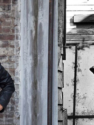 Appeal for Barbara Hammer Award Endowment