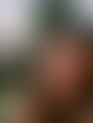 AAFF Intern Spotlight #3: Meet Coco DelVecchio, Shujun Li, and Jimmy Pawlowski!