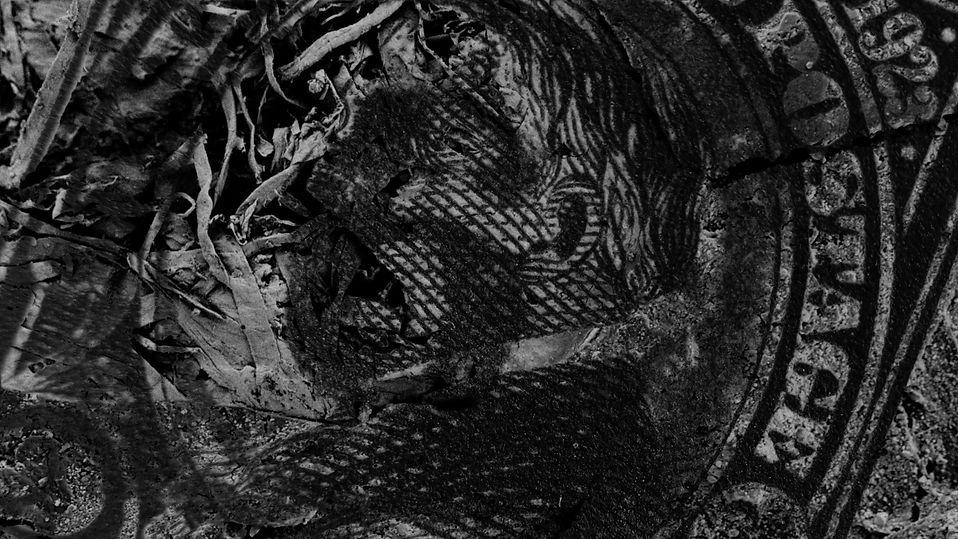 2cent _ 10coil_Mccollum_Monteith_61_1.jpg