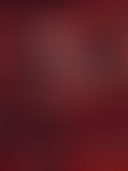 From Ann Arbor to LA: AAFF and the Oscars