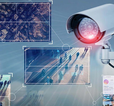 surveillance 26.jpg