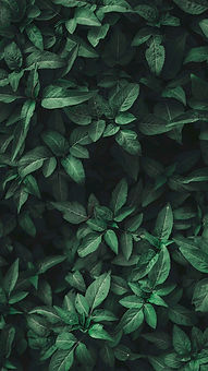4e6a2cd7abfd6a977ccda9e00507fc5d.jpg