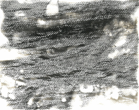 Screenshot 2023-04-25 at 11.48.16.png