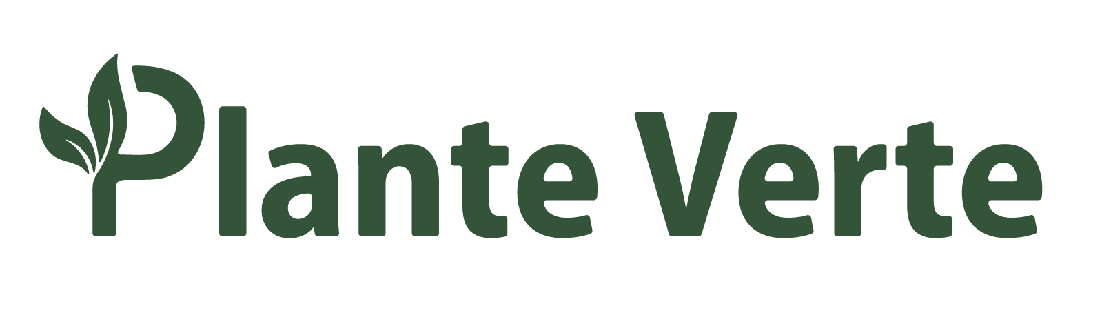 Plante Verte