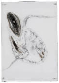 Cell