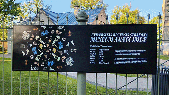 A short visual review of the exhibition, Someone I Know at the RSU Riga, Latvia, 2025 