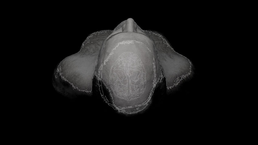 A0156000 copy.jpg