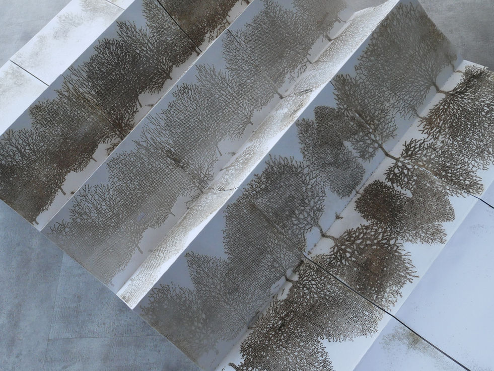 Laser Cut Concertina Book Tree Sculpture 2020  Andrew Carnie size variableP1060130.JPG