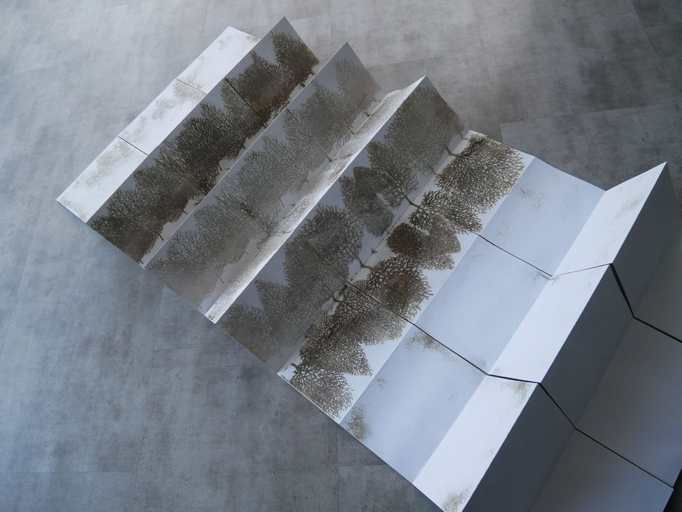 Laser Cut Concertina Book Tree Sculpture 2020  Andrew Carnie size variableP1060129.JPG