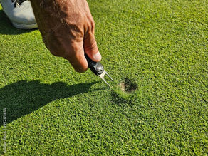 Why Fixing Ball Marks Matters in Golf
