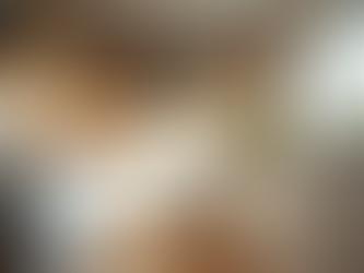 Affordable Home Renovation Solutions