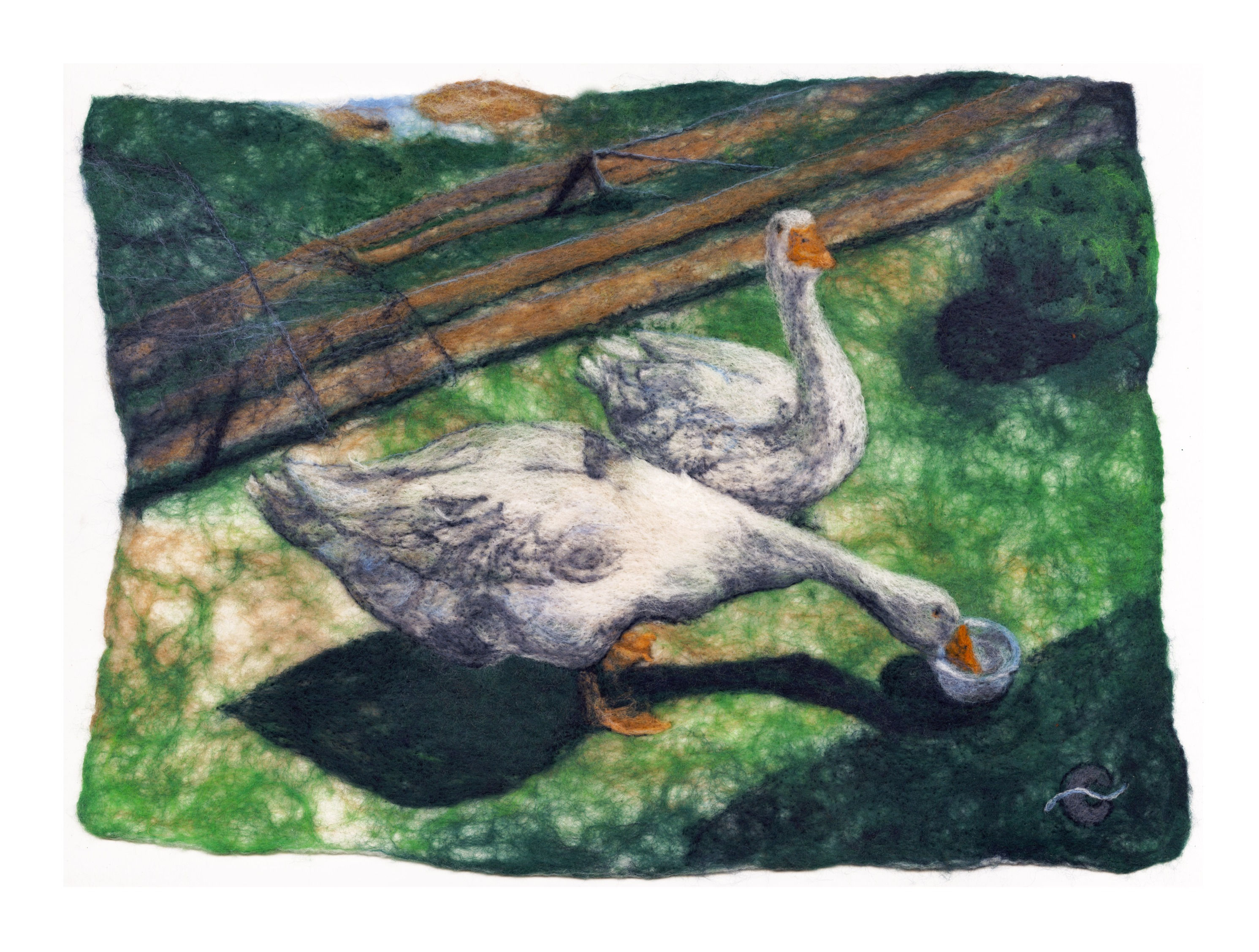 Kim & Jimmy's Geese (2014)