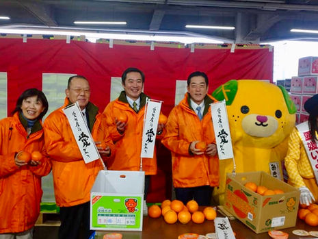 2/8『柑橘🍊トップセールス2/3』