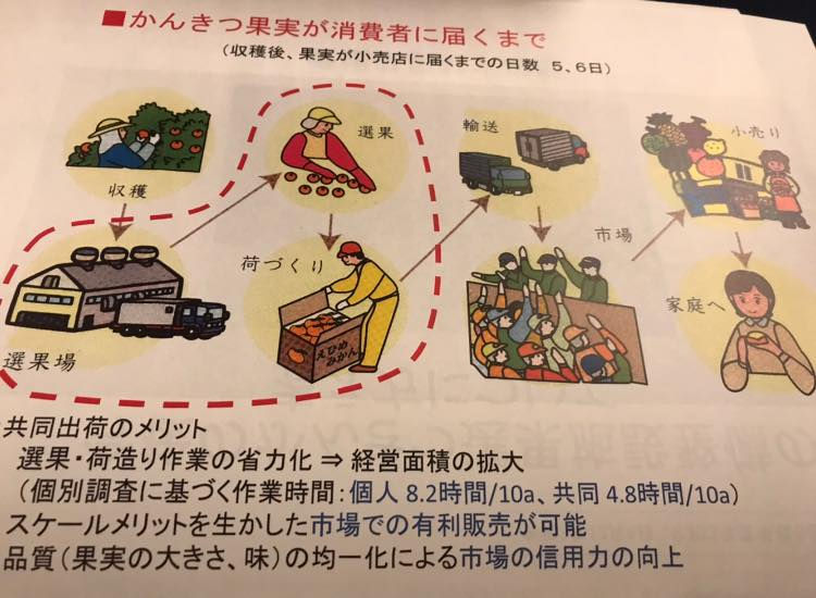 12/6『果樹を語る会』愛媛県果樹議連活動