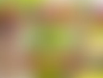 6/20,21【ぼくらの地球🌏のなおし方】