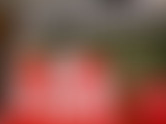 11/20『第３６回全国山林労働組合愛媛県本部定期大会』