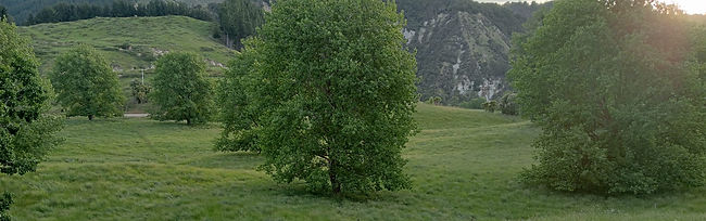 Image-empty-state.png