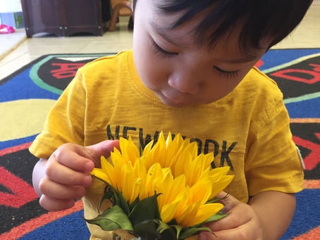The Reggio Philosophy