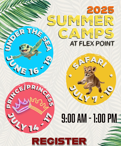 SUMMER CAMPS 2025_edited.jpg