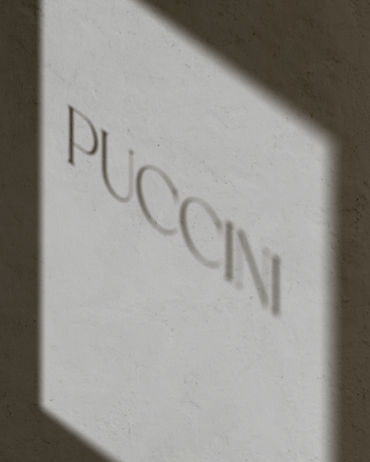 Puccini ablak mock_edited.jpg