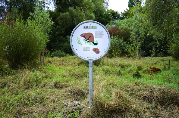site_biodiversity4.png