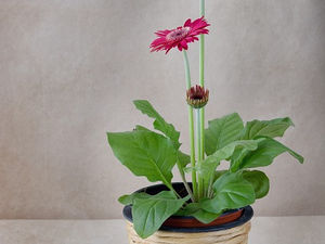 Your Weakness - His Strength