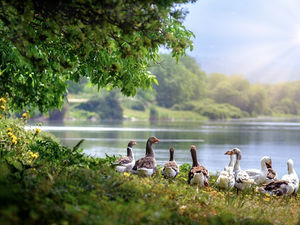 As Master As Servant