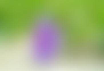 Sweet Injuries - Glorious Saturday