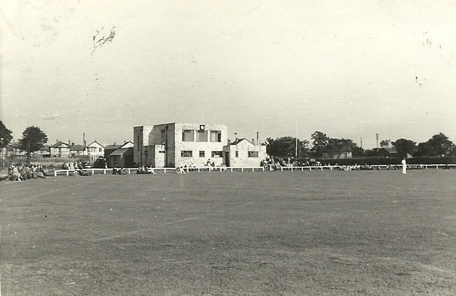 Cricket0014