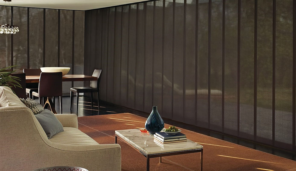 Panel Track Vertical Blinds
