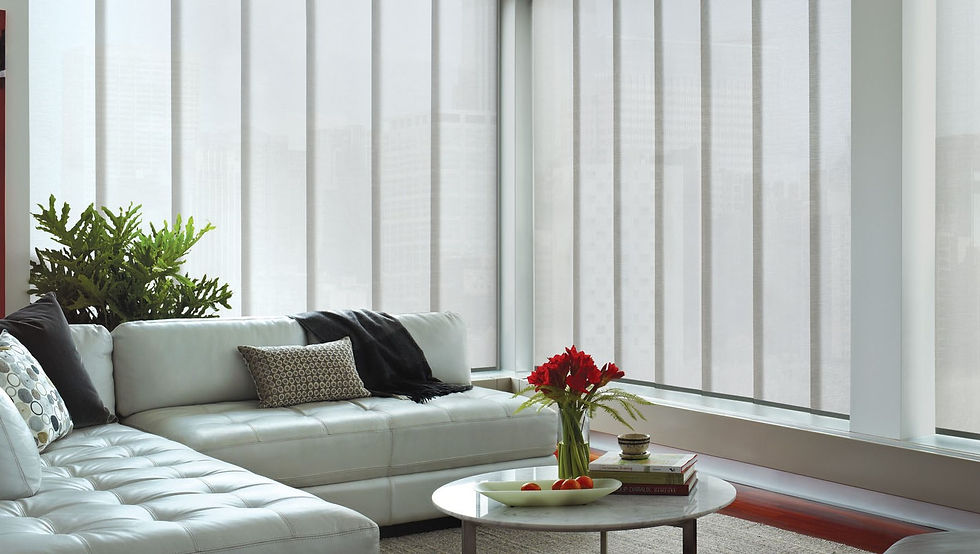 Panel Track Vertical Blinds