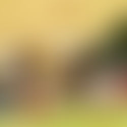 連休初日のキャンプ場より