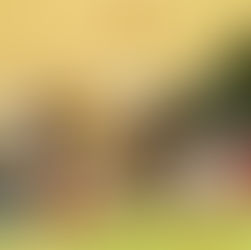 連休初日のキャンプ場より