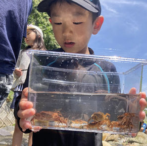 「初夏キャンプ」イベントのお知らせ