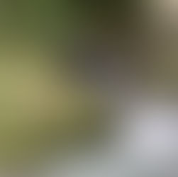 雨直前ギリギリセーフ！