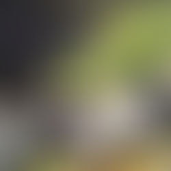 30周年イベント！（2回目）